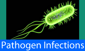 Cervical Yeast Infection