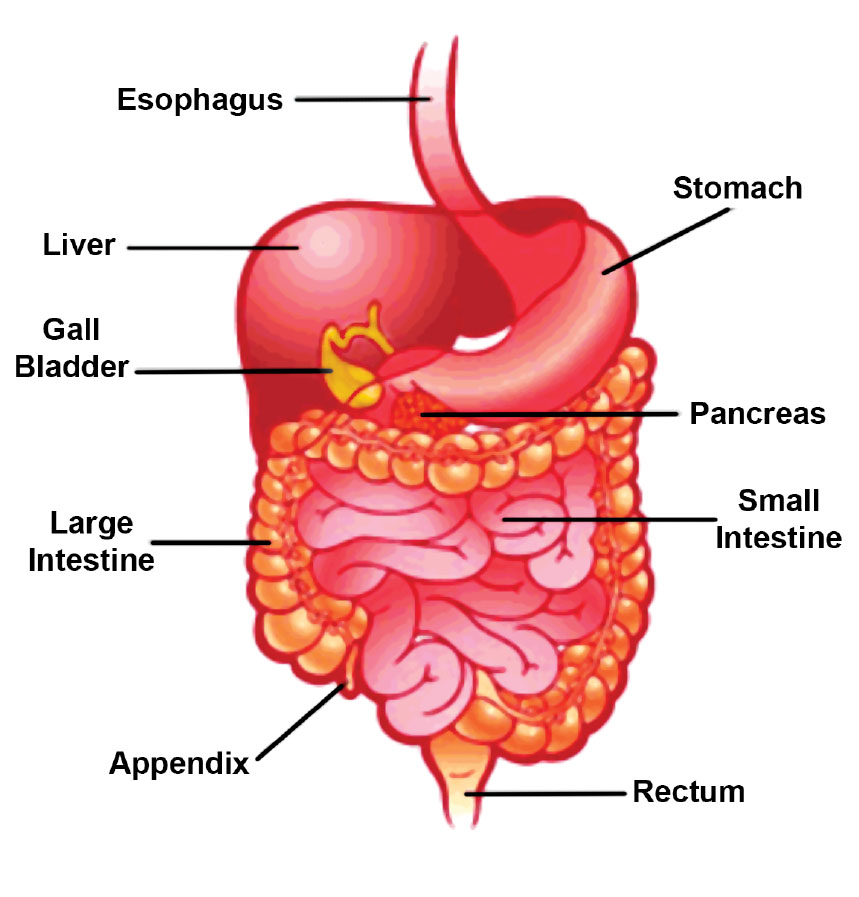 Dyspepsia