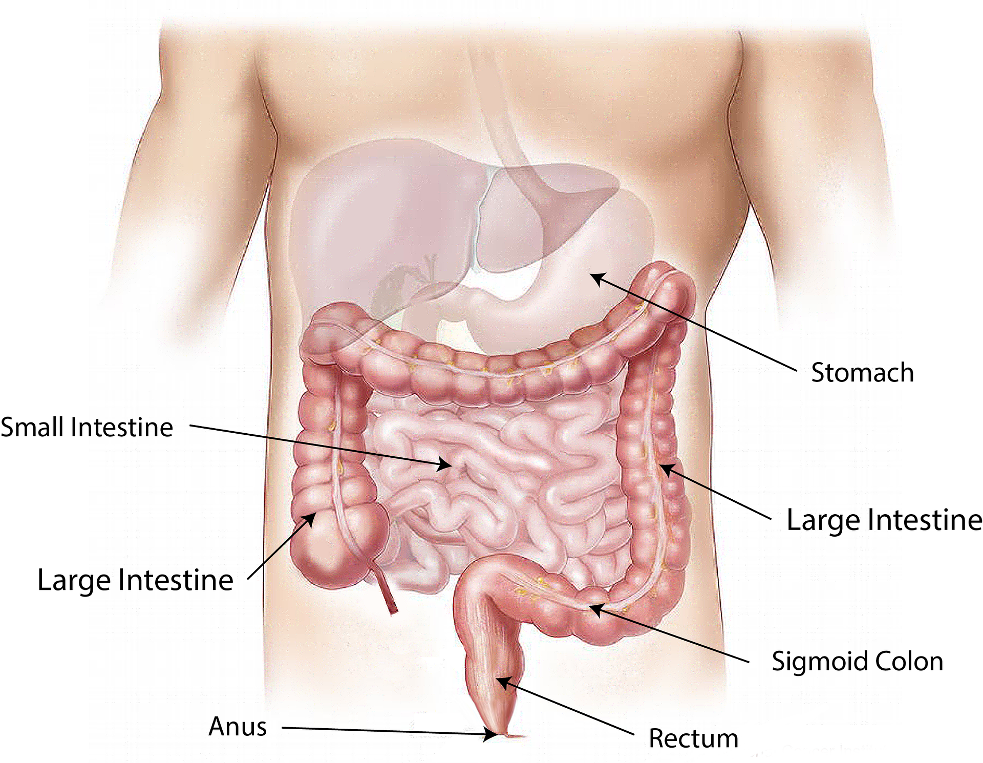 Anal itching