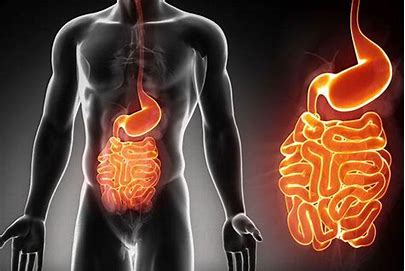 Ulcers general