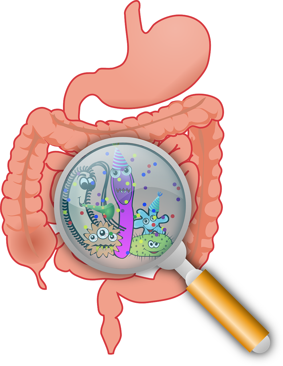 Giardia Lamblia