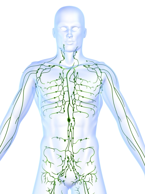 Lymph plaque