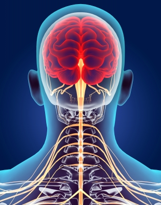 Cerebrospinal conditions